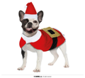 Costume de Père Noël pour chiens