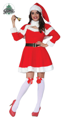 Costume féminin de Noël