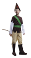 Costume Robin des Bois pour Enfants