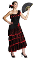 Costume Spanish Senorita