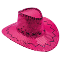 Cowboyhoed glitter