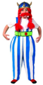 Deguisement Obelix garçon