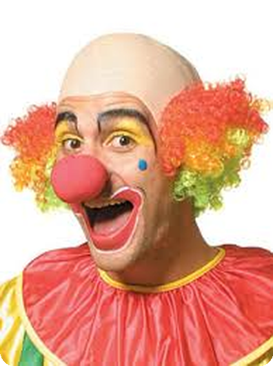 Deluxe Clown Headpiece With Multicolor Curly Hair