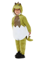 Dinosaur costume for children