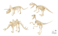 Dinosaur Skeleton - Random Model