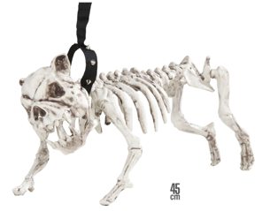 dogs skeleton 45cm