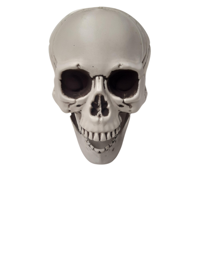 Doodskop Skull