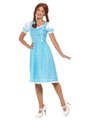 Dorothy costume