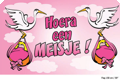 Drapeau Hourra une fille