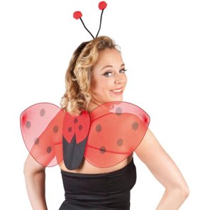 dress-up set ladybug