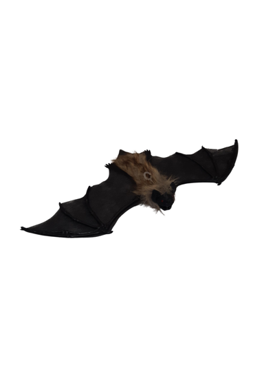 Décoration de chauve-souris