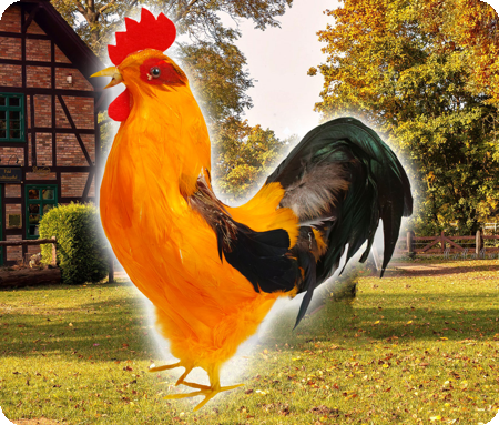 Décoration de poulet