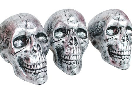 Ensemble de 6 crânes