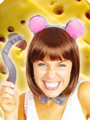 Ensemble de souris
