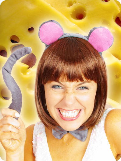 Ensemble de souris