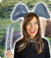 Ensemble d'éléphant
