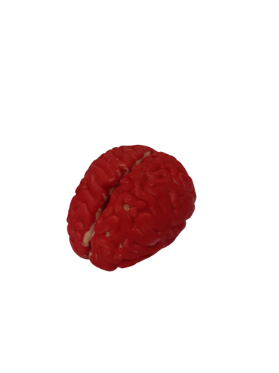 Fake brain Halloween decoration