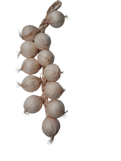Fake Onion bunch