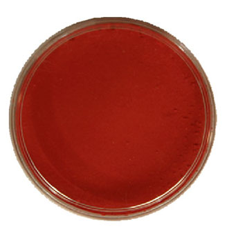 Fantasy Aqua make-up Expres 30g Rood