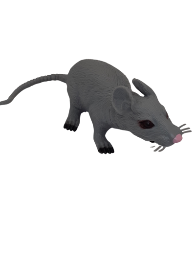 Faux rat gris