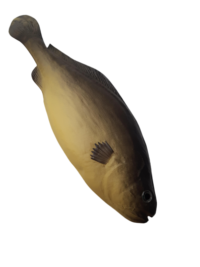 Fish decoration