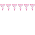 Flags line Baby girl birth