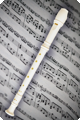 Flute Plastic