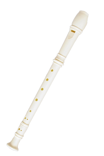 Flute Plastic