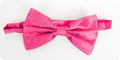 Fuchsia bow tie