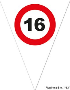 garland 16 traffic sign 5m