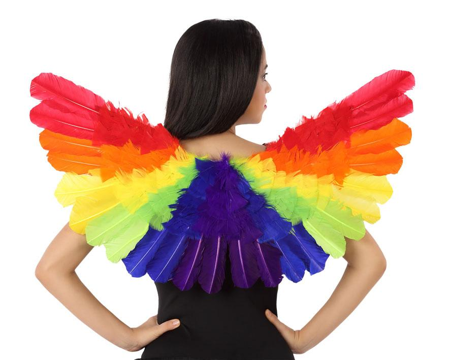 Gekleurde Regenboog Vleugels