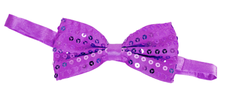 Glitter bow tie purple