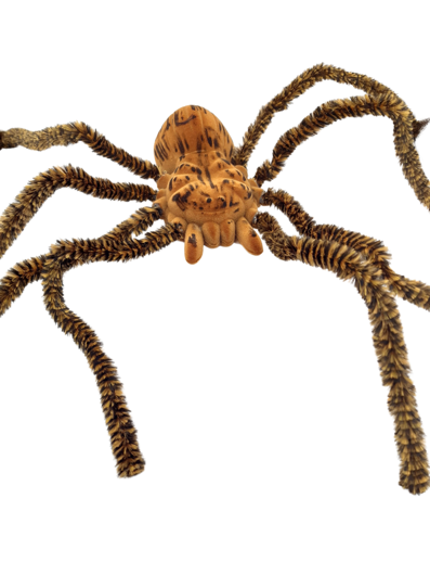 Grande araignée poilue d'Halloween 35cm x 40 cm