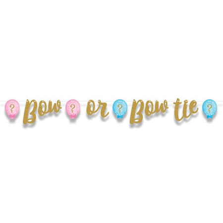 Greeting line gender reveal glitter (163cm)