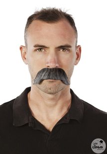 grijze dandy snor