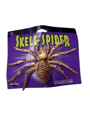 Halloween spider skeleton