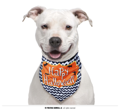Happy halloween hond bandana