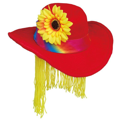 hat with clown hair