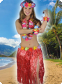 Hawaii skirt red
