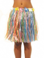 hawairok multicolor short