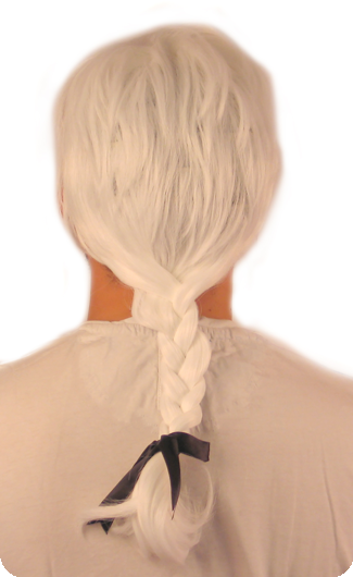 Historical man wig Mozart