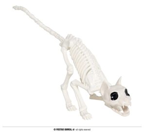 kattenskelet 48 cm