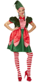 Kerst elf kostuum voor dames