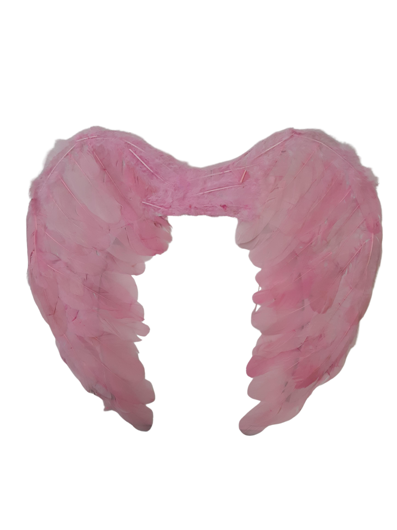 kleine vleugels licht roze (45cm * 35 cm)