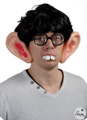 large ears