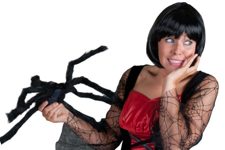 Large fake spider