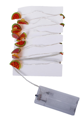 Led lights with watermelons on battery AA