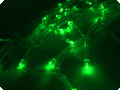 LED lumières 4 mètres vert