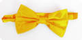 Light orange bow tie