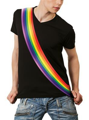 Lint regenboog